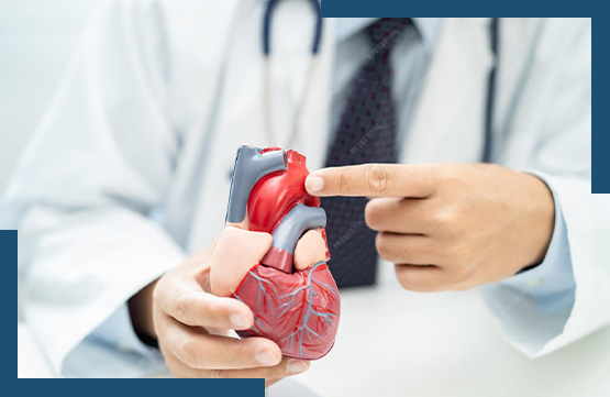 Heart Failure Overview Icon